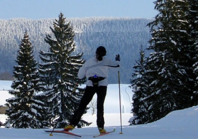  Langlaufen in einem Naturpark